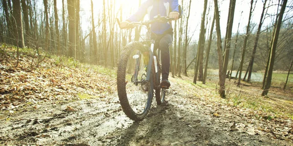 Fietser Rijdt Het Vroege Voorjaar Mountainbike Een Zandpad Het Bos — Stockfoto