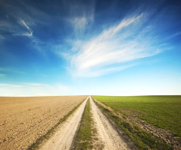 Calea Din Mijlocul Câmpului Care Separă Pajiștea Verde Solul — Fotografie, imagine de stoc