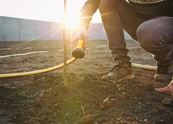 Homme Arroser Arbre Qui Récemment Planté — Photo