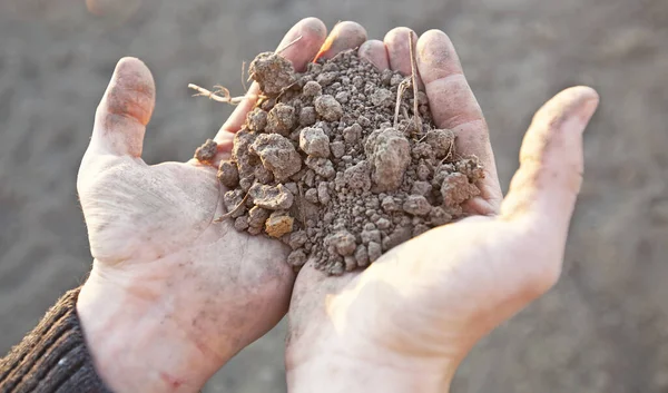 Man Holding Very Dry Soil His Palm Concept Soil Erosion — Stock Photo, Image