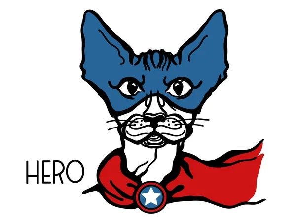 Retrato de herói de gato com máscara e estrela de herói. Vector gato super-herói —  Vetores de Stock