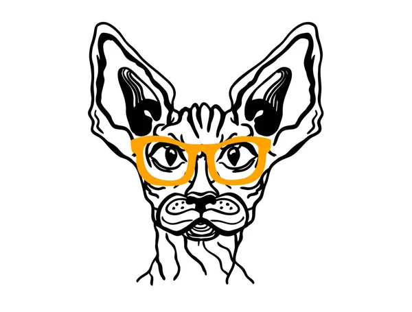 Esfinge de gato en gafas. Vector imprimible gato animal con sol de oro — Archivo Imágenes Vectoriales