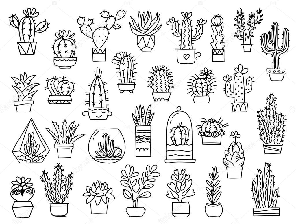 Cactuses. Hand drawn outline cactus. Vector set cacti, aloe and leaves Collection of exotic plants hand drawn illustration isolated on white