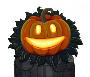 Cadılar Bayramı Balkabağı gülümsüyor. Beyaz arka plan üzerinde izole