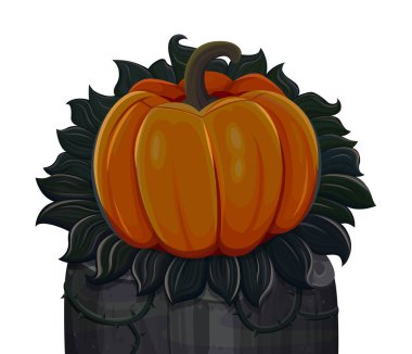 Cadılar Bayramı Balkabağı. Beyaz arka plan üzerinde izole