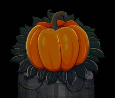 Cadılar Bayramı Balkabağı. Siyah arka plan üzerine izole