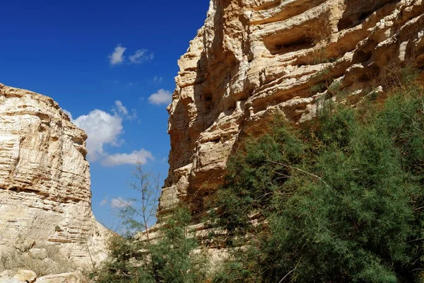 İsrail 'de Ein Avdat (Ein Ovdat) uçurumlarının manzarası — Stok fotoğraf