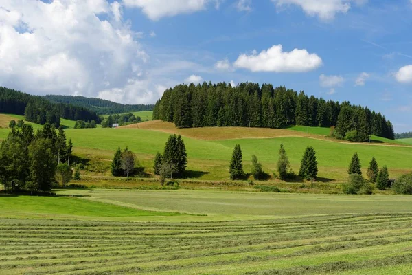 Paisagem Pastoral Verão Suíça — Fotografia de Stock