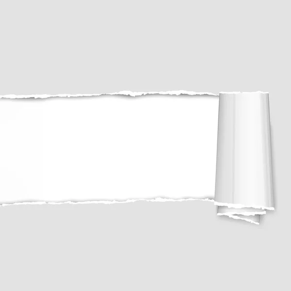 Trozos de papel desgarrado en gris — Vector de stock