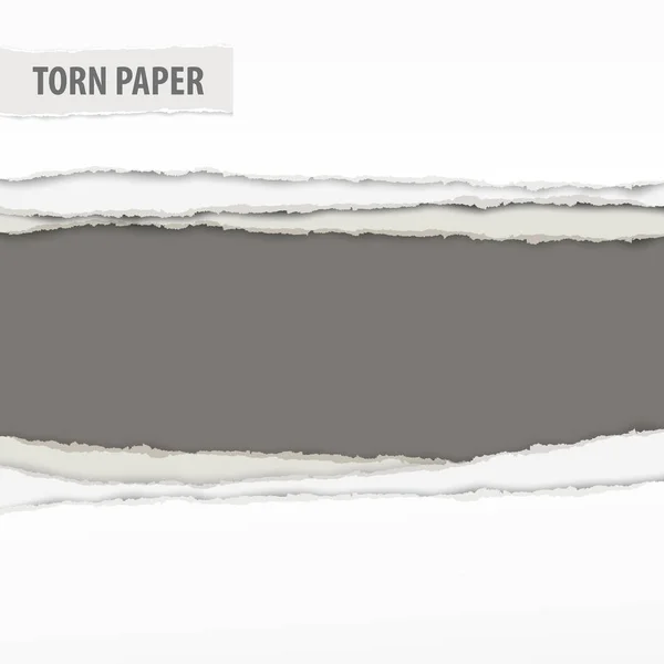 Morceaux de papier déchiré sur gris — Image vectorielle