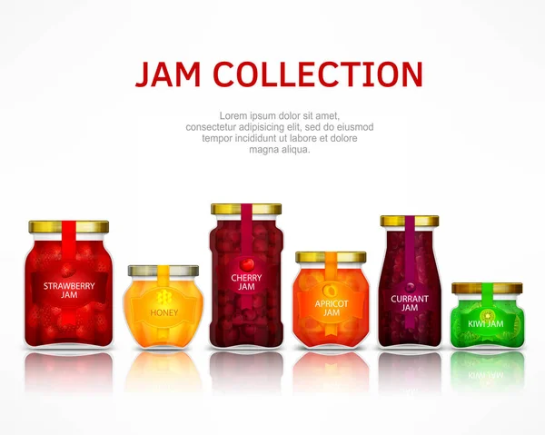 Fruit jam-collectie — Stockvector