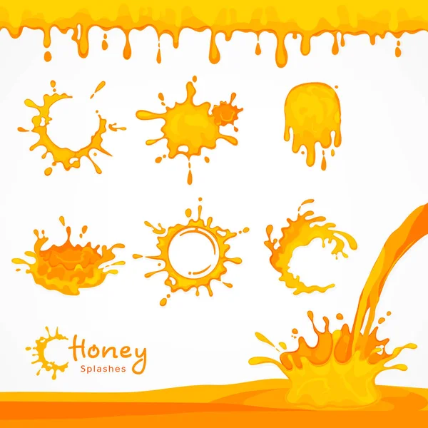 Honing blots en splash — Stockvector