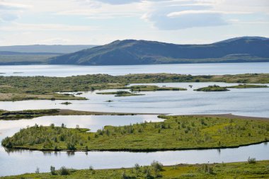 İzlanda'daki Ehsarau Nehri