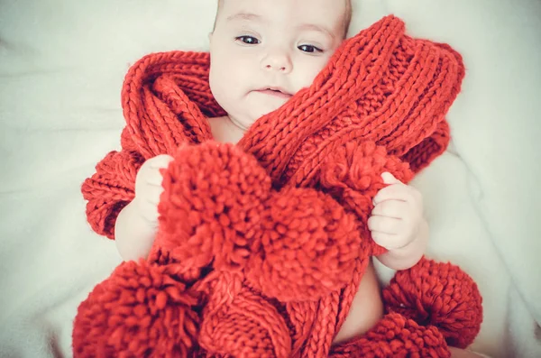 Porträt Eines Kleinen Mädchens Einen Großen Roten Schal Gehüllt — Stockfoto