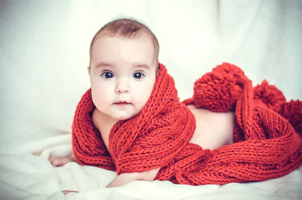 Portrait Little Girl Wrapped Large Red Scarf — Stock Photo, Image