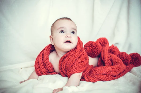 Porträt Eines Kleinen Mädchens Einen Großen Roten Schal Gehüllt — Stockfoto