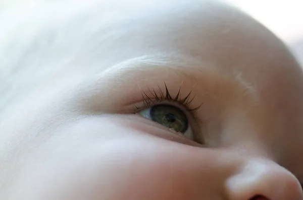 Tears in the eyes of a young child. Crying child. — Stock Photo, Image