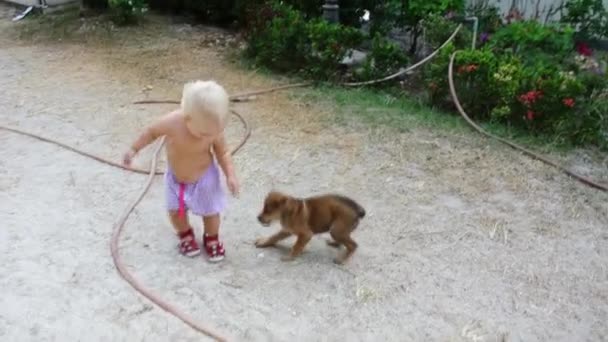Baby speelt met de pup. — Stockvideo
