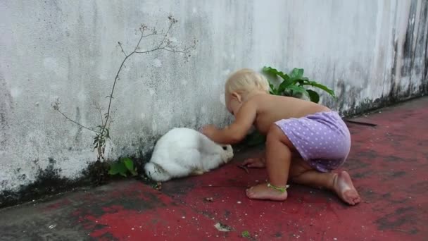 Bebé acaricia el conejo blanco — Vídeo de stock