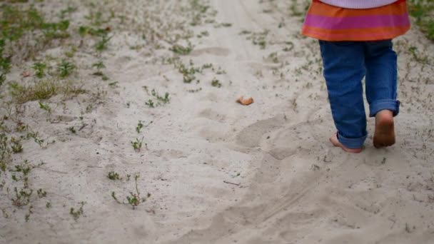 El niño está caminando por el camino rural. . — Vídeos de Stock