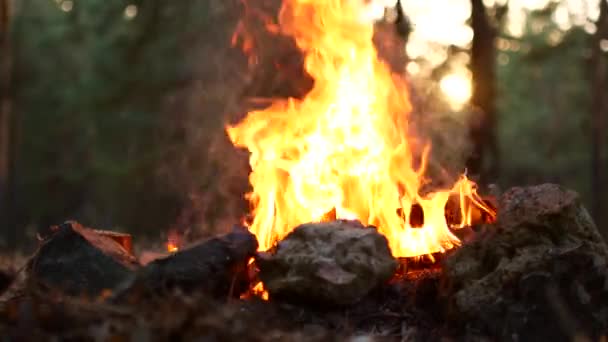 Una hermosa hoguera arde — Vídeo de stock