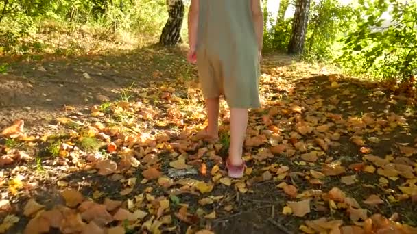 Детские ноги идут по лесной тропинке . — стоковое видео