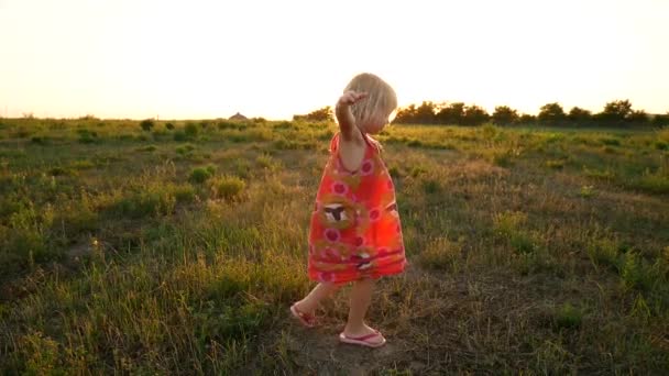 Das Mädchen dreht sich im Sonnenuntergang auf dem Feld. — Stockvideo