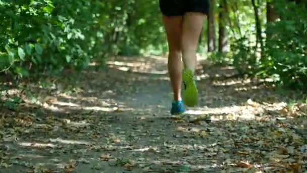Läufer beim Training im Wald. eine Nahaufnahme von pensionierten Schuhen — Stockvideo