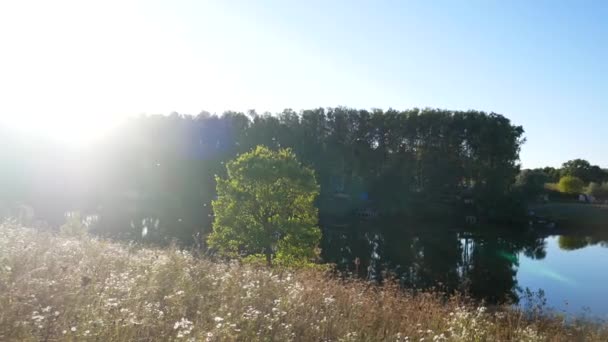 Paysage. Le soleil et la grande herbe jaune. Plan panoramique . — Video