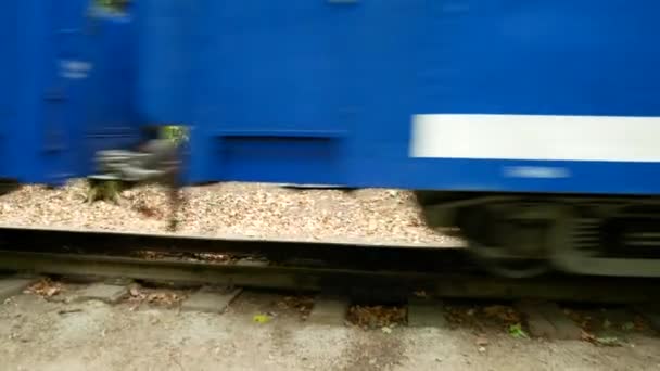 El tren conduce a lo largo de los rieles a través del bosque de otoño — Vídeos de Stock