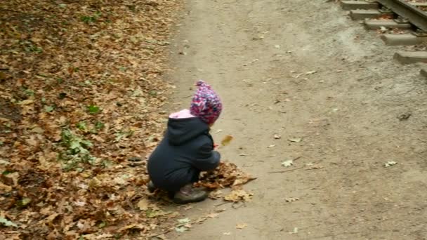 El niño recoge hojas caídas de otoño en el parque . — Vídeos de Stock