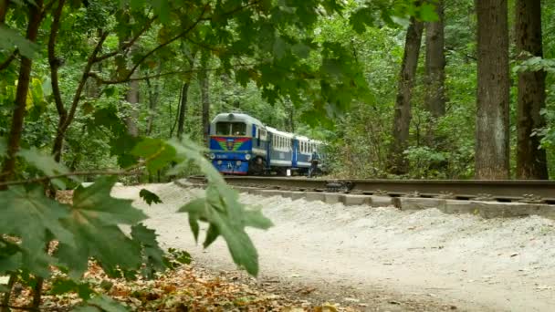 Vlak jezdí po kolejnicích podzimním lesem. — Stock video