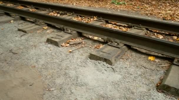 Ferrovie nella foresta autunnale. La ferrovia va in lontananza per una svolta . — Video Stock
