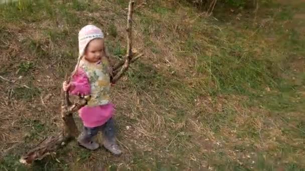 Uma rapariga colecciona lenha na floresta. A criança carrega madeira para o fogo . — Vídeo de Stock