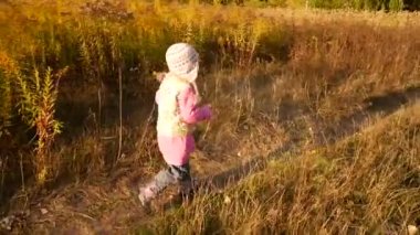 Küçük bir kız ile sonbahar alan çalışır. Gün batımını ışıktan. Slow Motion video.
