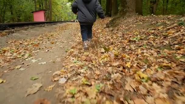 A child walks through the autumn forest. The girl kicks up the yellow leaves. — Stock Video