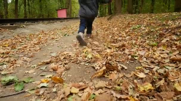 Un niño camina por el bosque de otoño. La chica patea las hojas amarillas . — Vídeos de Stock