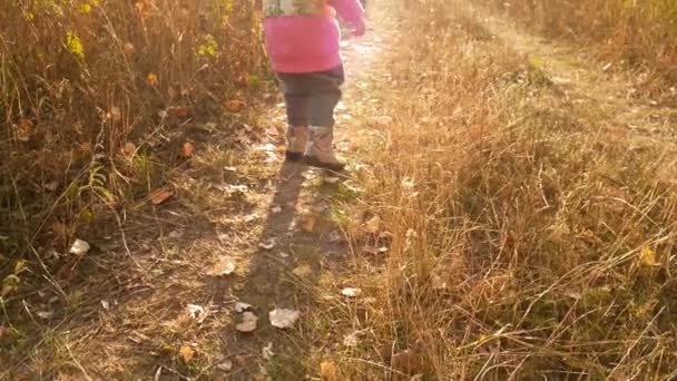 La niña está caminando a lo largo de la carretera a través del campo hacia la puesta del sol. Video en cámara lenta . — Vídeos de Stock