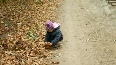 Çocuk parkta düşen sonbahar yaprakları toplar.