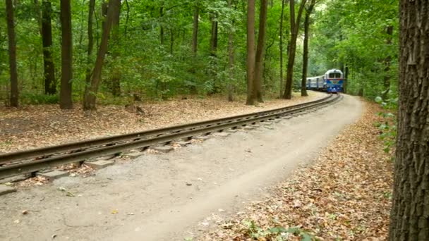 Поезд едет по рельсам через осенний лес — стоковое видео
