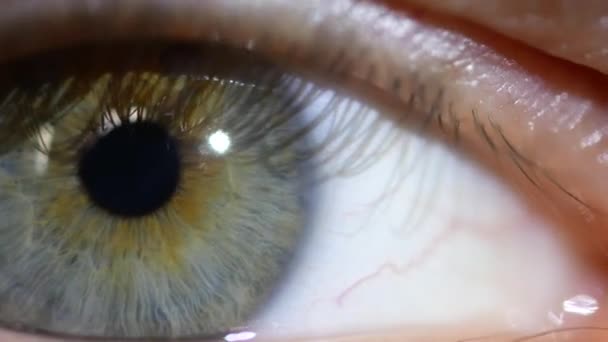 Vidéo macro oeil masculin. Le gros plan de la pupille se déplace dans l'œil .