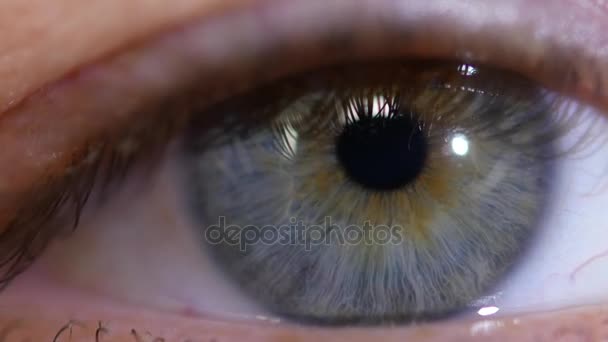 Man eye macro video. De close-up van de leerling beweegt in het oog. — Stockvideo