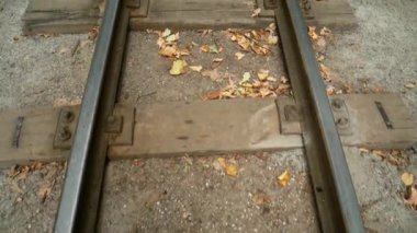 Raylar sonbahar ormanın içinde. Demiryolu mesafe içine bir hal gider..