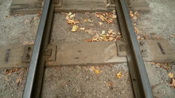 Rails in de herfst bos. De spoorlijn gaat in de afstand voor een beurt. — Stockvideo