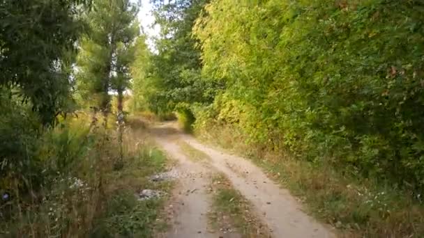 Route dans le village. Avancez le long de la route . — Video