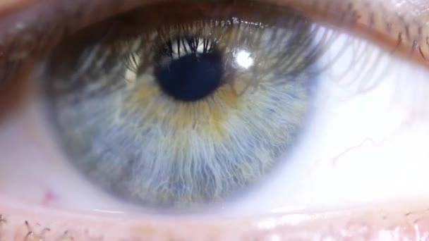 Vidéo macro oeil masculin. Le gros plan de la pupille se déplace dans l'œil . — Video