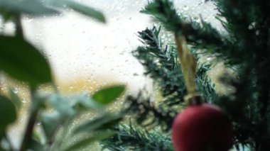 Bir kırmızı top ve pencerenin dışındaki yağmur ile Noel ağacı. Odak ön yaprakları, arkaya geçer