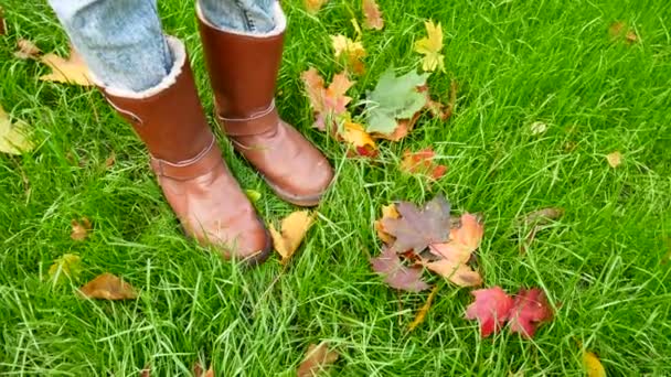 Pernas femininas em botas contra um fundo de grama verde e folhas caídas — Vídeo de Stock