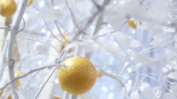 Новорічний декор в білих тонах. Кульки люблять апельсини на білих деревах. Відео підходить для тла — стокове відео