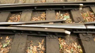 Tren. Sonbahar görünümü. Demiryolu okları